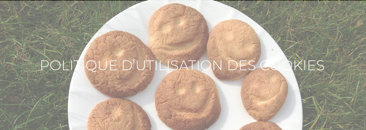 Politique d'utilisation des cookies